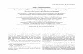 Description of Komagataeibacter gen. nov., with proposals ...