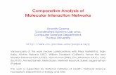 Comparative Analysis of Molecular Interaction Networks