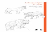Le loup, le lynx et l’ours - WWF