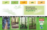 Essences Forestières Aquitaine