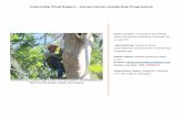 Internship Final Report - Conservation Leadership Programme