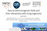 Natural electromagnetic fields and their interactions with ...