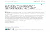 Comparative transcriptome analysis of ... - BMC Plant Biology