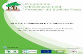 Programme d’Investissement Forestier du Burkina Faso