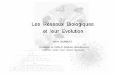 Les Réseaux Biologiques et leur Evolution