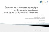 Évaluation de la biomasse mycologique sur les ... - IRSST