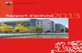 Rapport d’activité 2013 - Grand-Saconnex