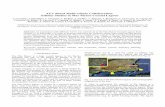 AUV Based Multi-vehicle Collaboration: Salinity Studies in ...