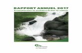 RAPPORT ANNUEL 2017 - maudeturpin.com