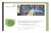Aménagement des forêts feuillues pour la qualité et la valeur