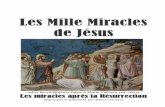 1000 Miracles - Après la Résurrection