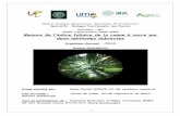 Spécialité : Biologie Fonctionnelle des Plantes Parcours ...