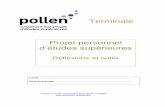 Terminale Projet personnel - Saint-Witz