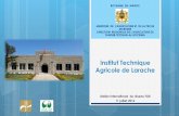 Institut Technique Agricole de Larache