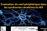 Evaluation des affections du nerf périphérique dans les ...