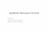 Système nerveu central - cyberlearn.hes-so.ch