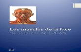 Les muscles de la face - Ortho-PFP