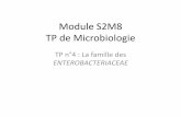Module S2M8 TP de Microbiologie - biologieblida.webnode.fr