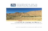 « Carnet de voyage au Maroc - Le réseau citoyen des ...