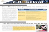e-B billard