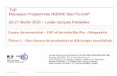 TVP Nouveaux Programmes HGEMC Bac Pro-CAP 20-21 février ...