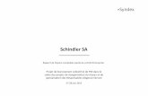 Schindler PSE2013 RapportV3