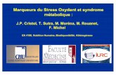 Marqueurs du Stress Oxydant et syndrome métabolique