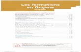 Les formations en Guyane - techno-3eme.collomp.fr