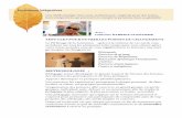 Formations intégratives - pagesperso-orange.fr
