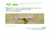Notice du catalogue de la flore vasculaire de Bourgogne ...