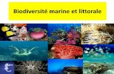 Biodiversité marine et littorale