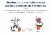 plantes, résultats de lévolution