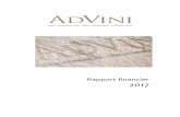 Rapport financier 2017 - advini.com