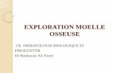 EXPLORATION MOELLE OSSEUSE - FMOS