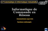 LP Automatique & Informatique Industrielle