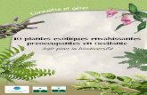 10 plantes exotiques envahissantes préoccupantes en Occitanie