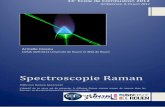 Spectroscopie Raman Diffusion Raman Spontanée