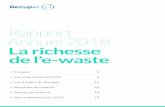 Rapport Annuel 2018 La richesse de l’e-waste