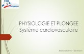 PHYSIOLOGIE ET PLONGEE Système cardiovasculaire
