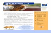 Bulletin apicole n°72 - Accueil du site de la ...