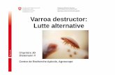 Agroscope, Centre de recherches apicoles Varroa destructor ...