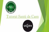 Tutorat Santé de Caen - lyceealainalencon.fr