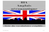 BIA Anglais aéronautique