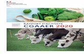 RAPPORT D’ACTIVITÉ CGAAER 2020