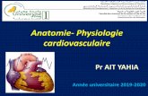 Anatomie- Physiologie cardiovasculaire
