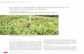 Production végétale - Agrarforschung Schweiz