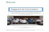 Rapport de Formation - pfongue.org