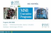 Program: Mini MBA