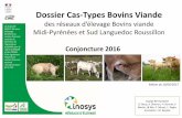 Dossier Cas Types Bovins Viande - Chambre d'agriculture