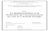 Thème : La Réglementation et la Protection de l’Environnement
